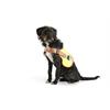 Leuchtweste Hund LED L