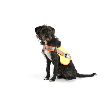 Leuchtweste Hund LED XXS