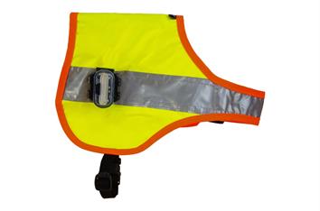 Gilet lumineux chien LED XL